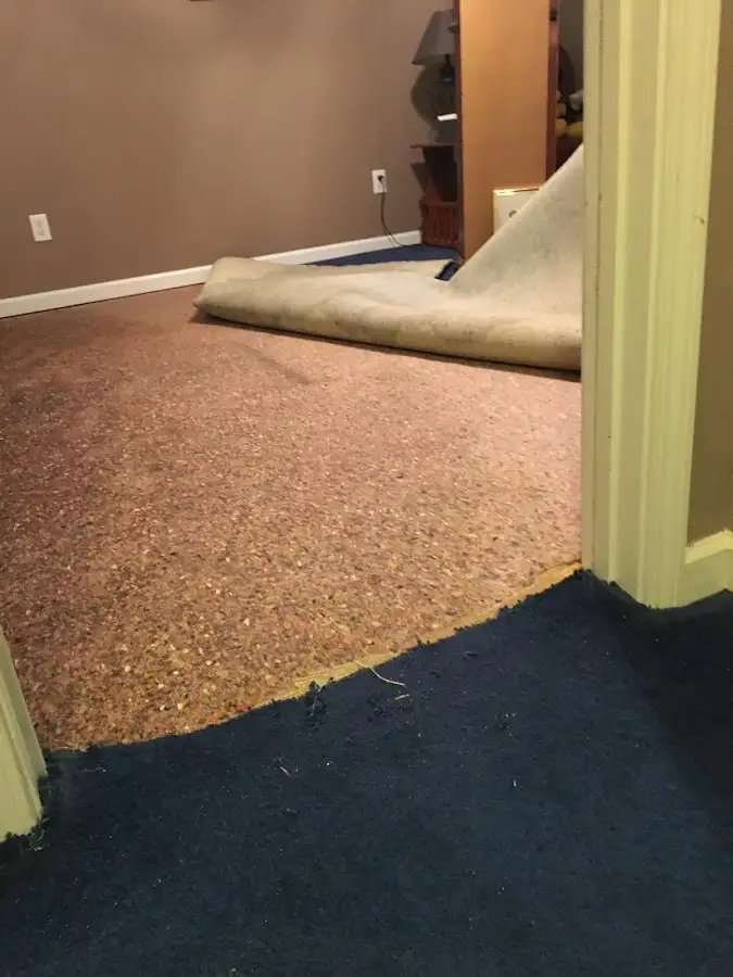 Carpet pad removal revealing water damage during Water Mitigation Services in Corrales