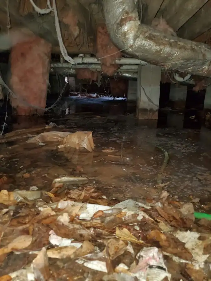 Crawl space flood assessment for Commercial Water Damage Restoration in Corrales